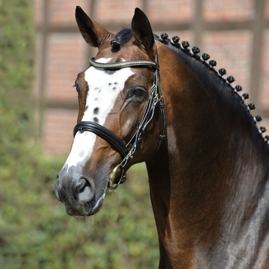 Balou du Rouet