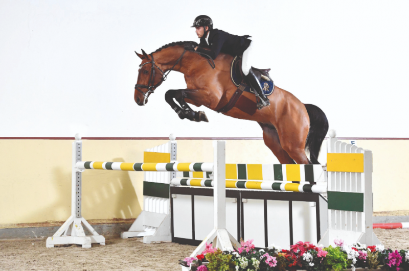 Charino PS